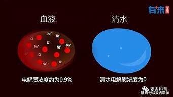 有没有科学依据支持算命的准确性？(算命的科学依据在哪里)